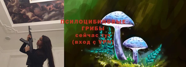 индика Абинск