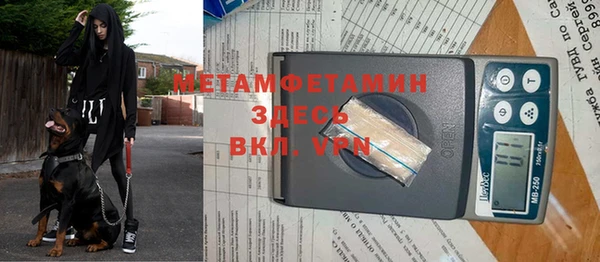 индика Абинск