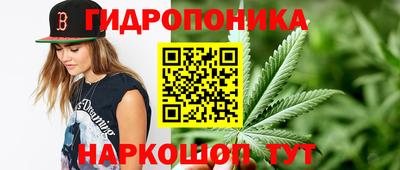 шишки Краснодар