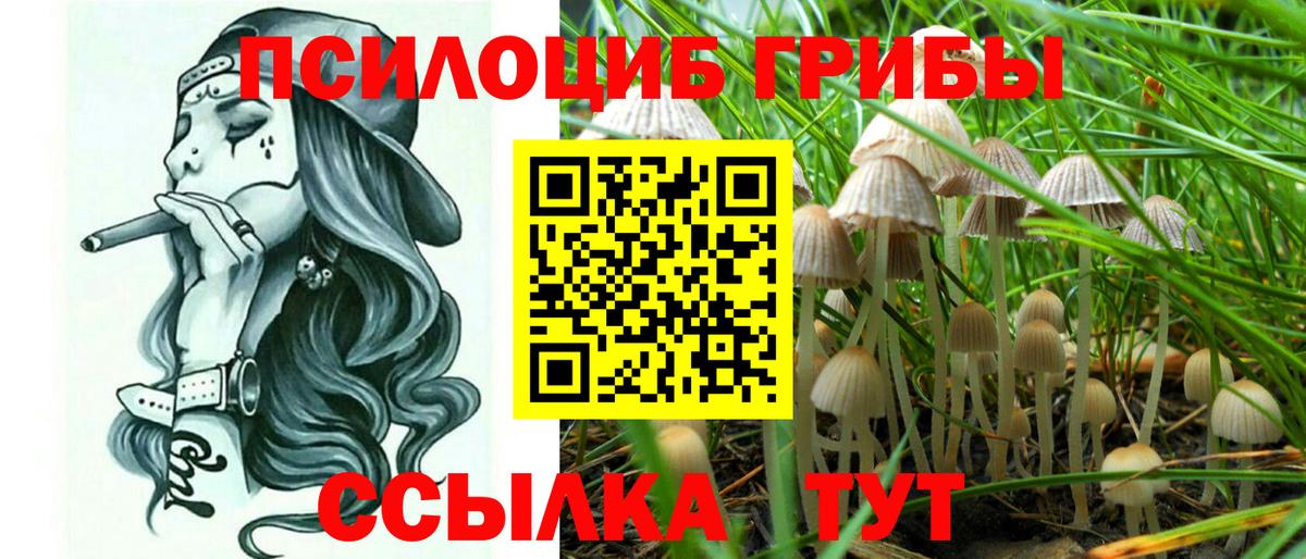 Скопин  Псилоцибиновые грибы Magic Shrooms  Вход с VPN  Псилоцибиновые грибы мицелий 